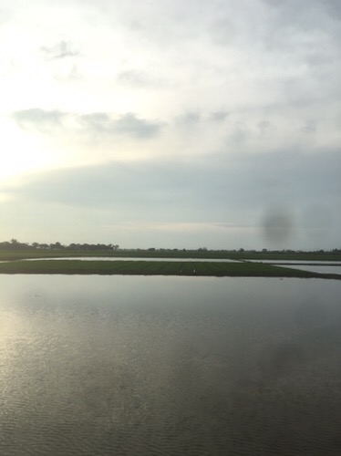 Nankai Mata Bor Kayu Jangka Adjustable Hole Cutter Flexible 30mm - 120mm