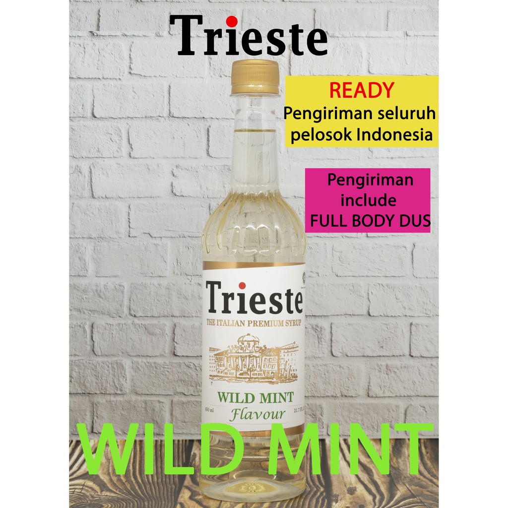 

TRIESTE SYRUP rasa WILD MINT