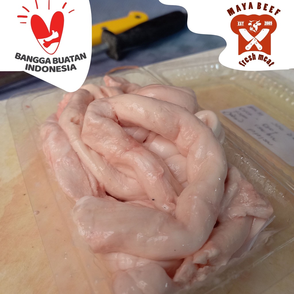 

Sumsum tulang belakang Sapi/Olor Sapi Bergizi