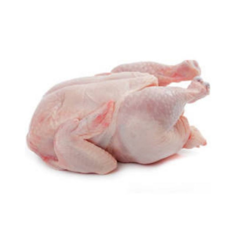 

Ayam Potong 1,2Kg - 1,3Kg - Berat Kurang Lebih
