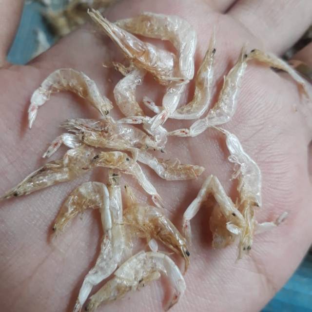 

Rebon kecil 250gram