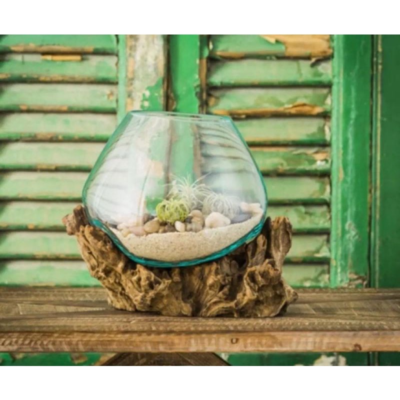 aquarium akar kayu/vas bunga/akuarium mini/akuarium ikan cupang