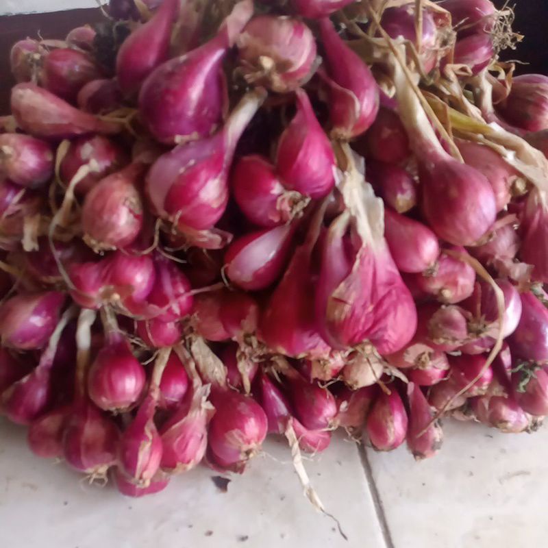 

bawang merah Brebes 100%
