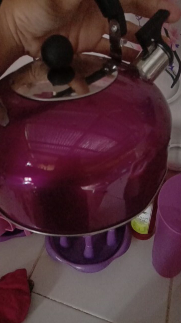 Murah Teko Siul Warna Warni Stainless