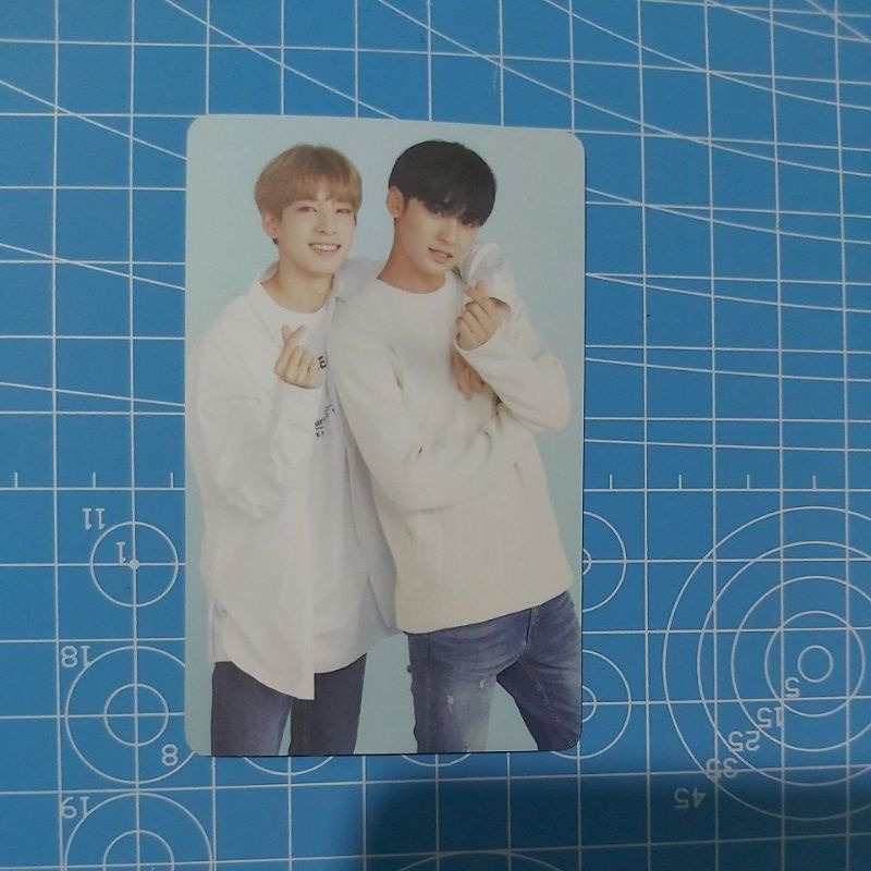 Tc meanie caratland 2018