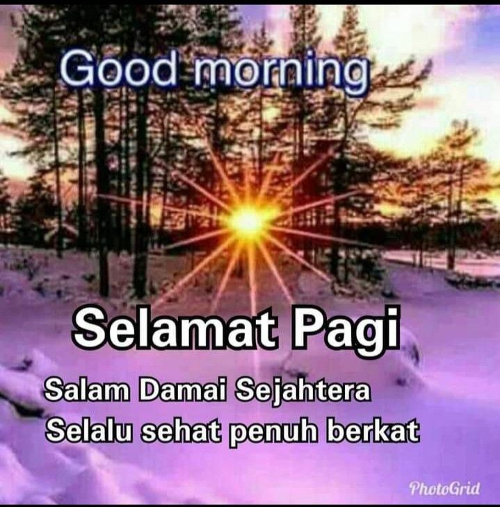 Baju Hawai Size Xl Best Seller - Pantai Kelapa