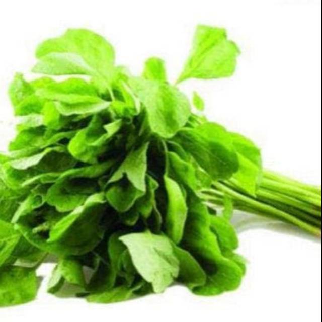 

Sayur Bayam Paling Murah 1 Ikat