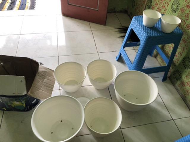 Pot Tawon 12 Cm Untuk Tanaman