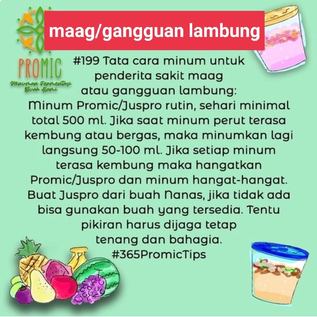 PROMIC  Promo (2 Botol 1000 ml Free 2 Botol 200 ml)/ Minuman Probiotik / Biang Starter Promic 1 Liter