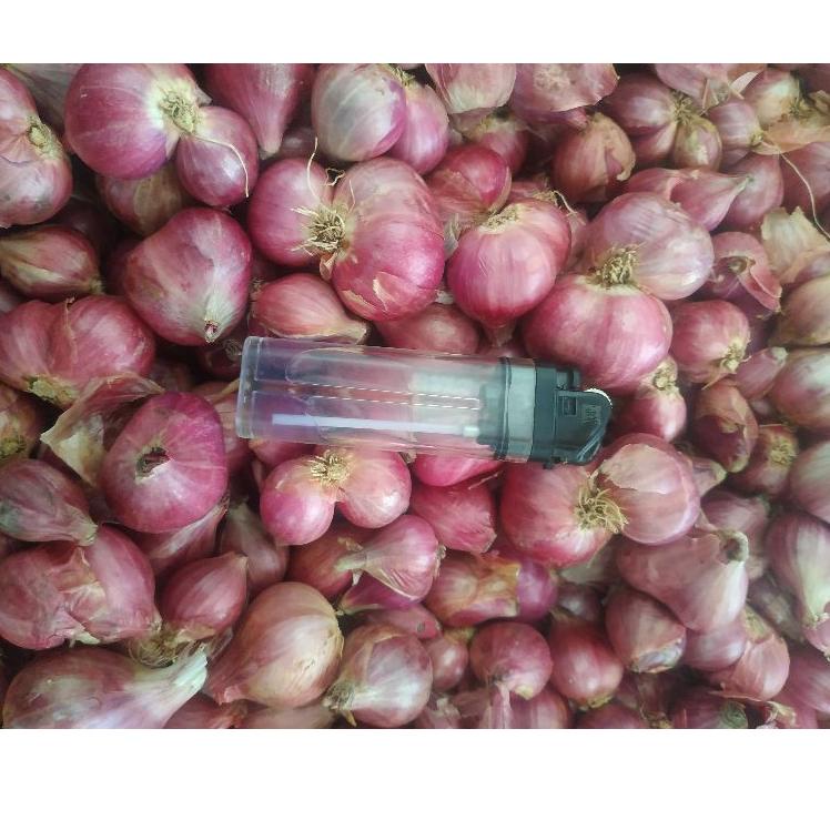 

ゝ bawang merah lokal 500gr は