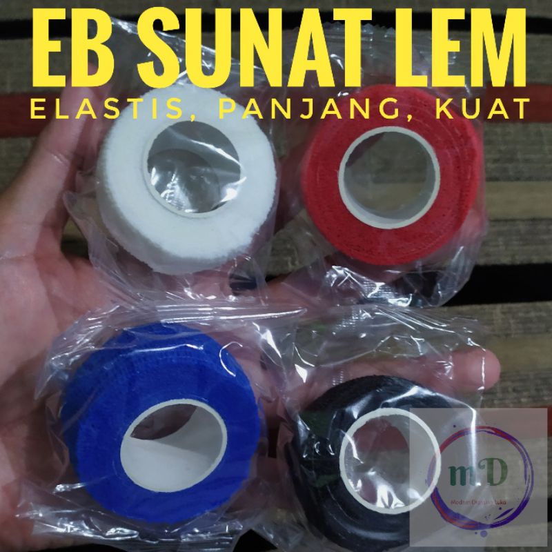 

EB SUNAT LEM