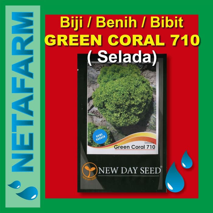 Biji / benih / bibit GREEN CORAL 710 Selada