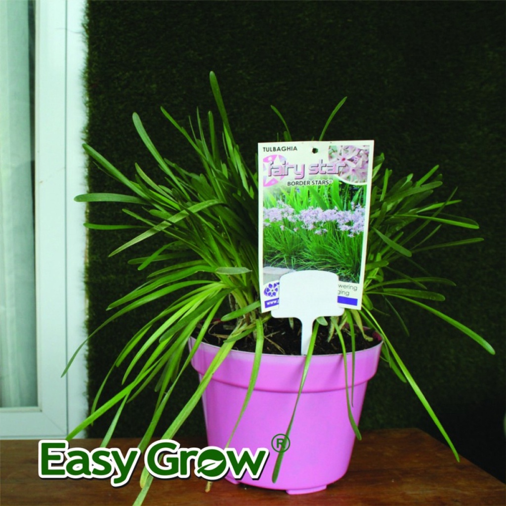 LABEL TANAMAN TANCAP # 2 EASY GROW ISI 10 PCS