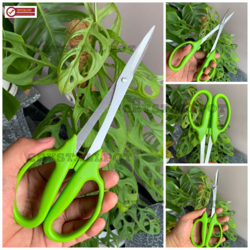 GUNTING BONSAI PRUNING DAUN AKAR 210 MM KUAT DAN TAJAM - GUNTING HIJAU