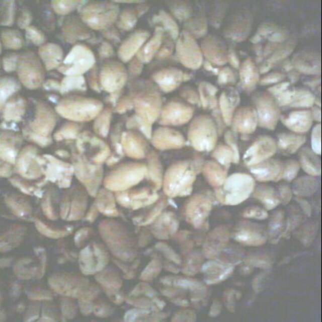 

Kacang Bawang Rasa Mete 500 gram