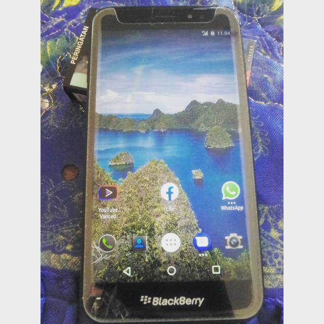 Blackberry aurora