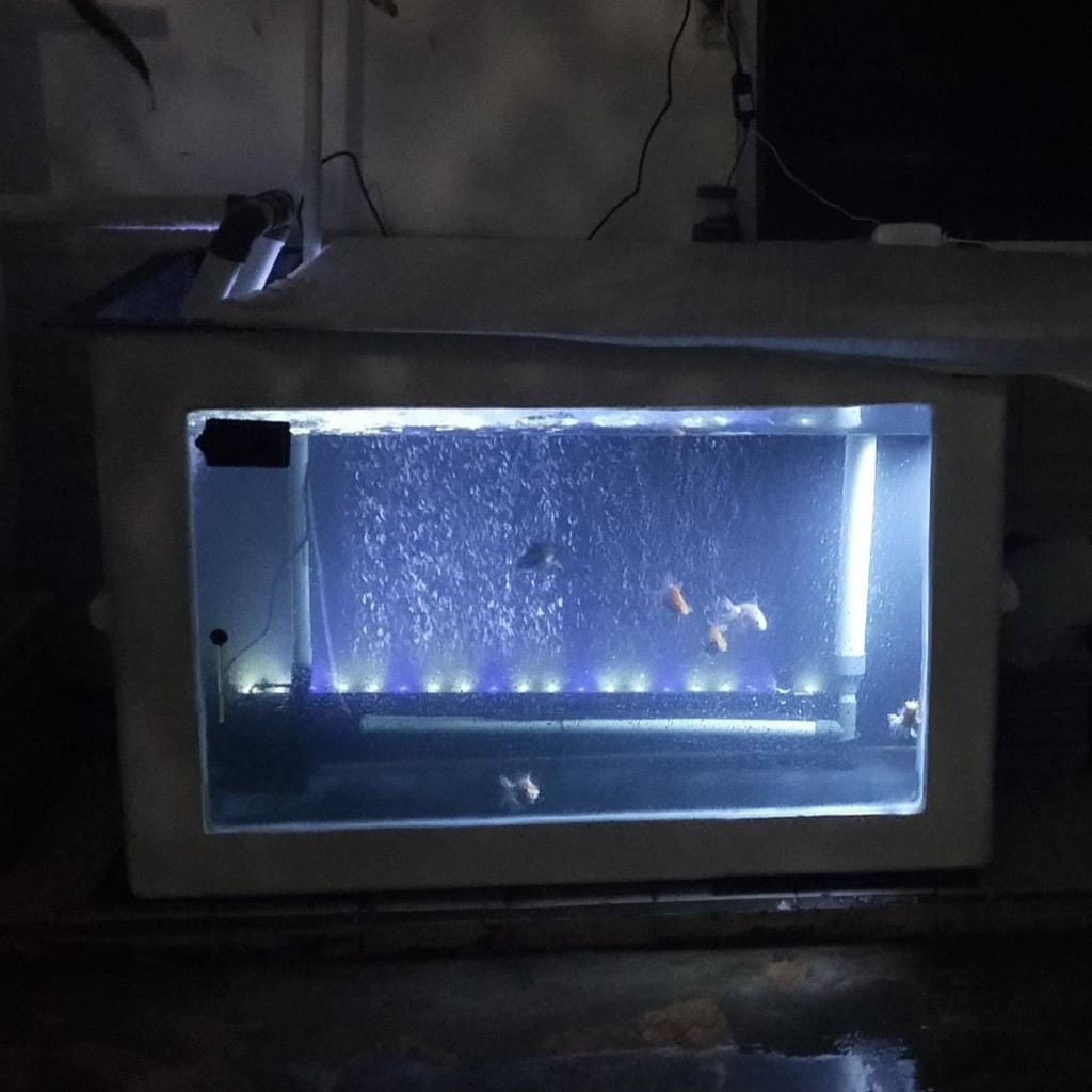 Bak Fiber Kolam Ikan Kombinasi Kaca 10mm UK. 120 x 65 x 80 cm