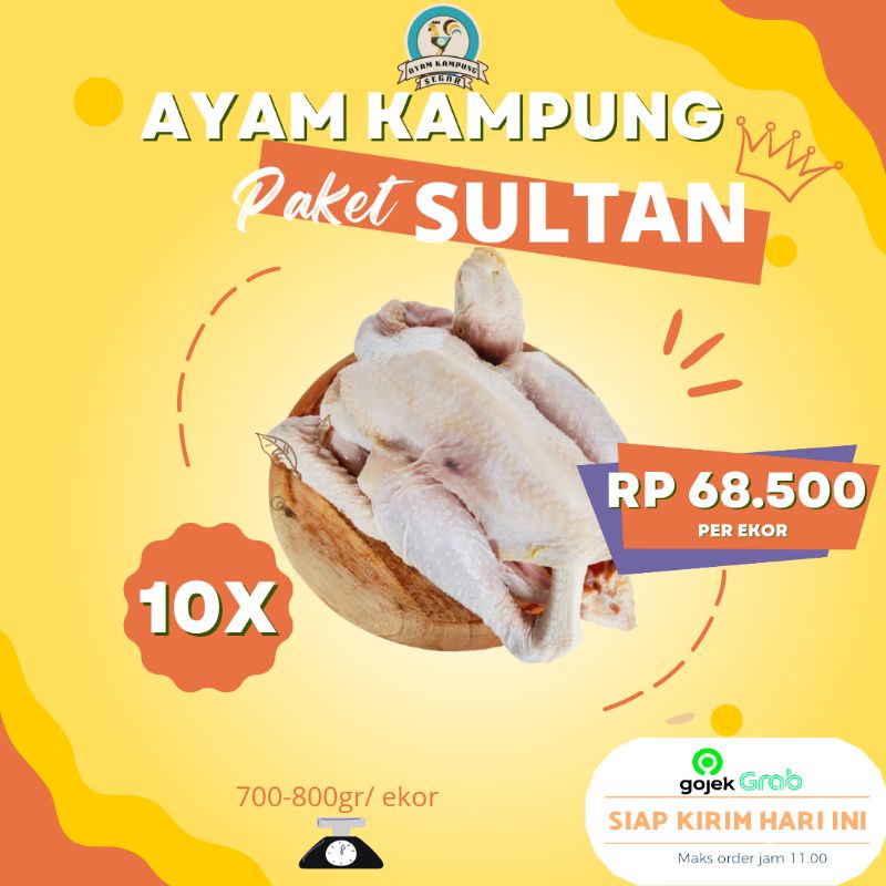 PROMO 10 ekor Ayam Kampung Fresh Segar Bersih Sehat Khusus Bandung Paket Sultan