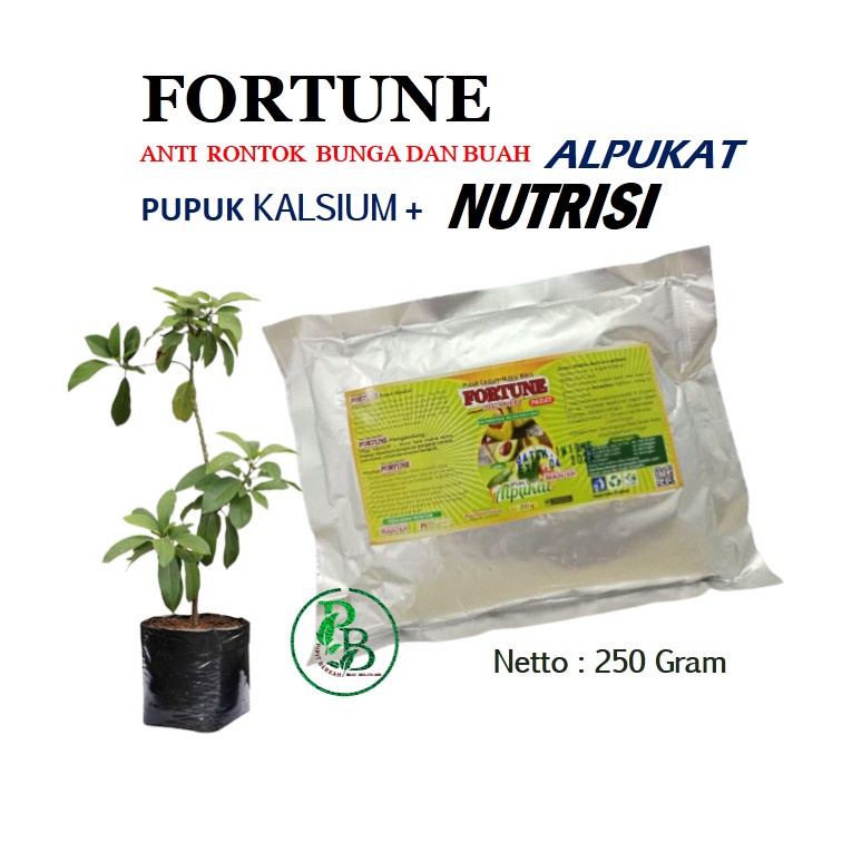 PUPUK perangsang buah alpukat supaya cepat berbuah, Booster Alpukat pelebat buah