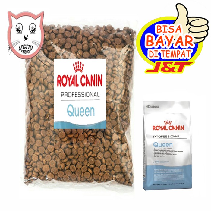 Makanan Kucing Hamil Menyusui Royal Canin Pro Queen Shopee Indonesia