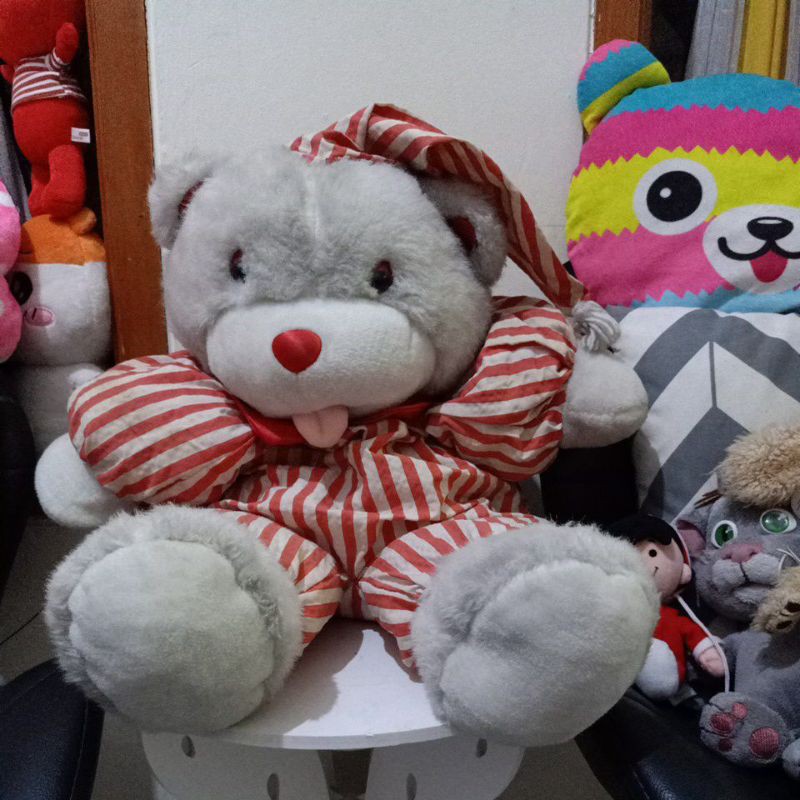 Boneka Teddy kostum