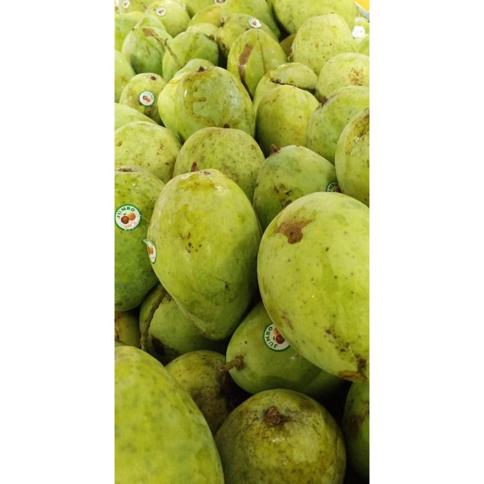 

Buah Mangga Indramayu (900g-1kg)