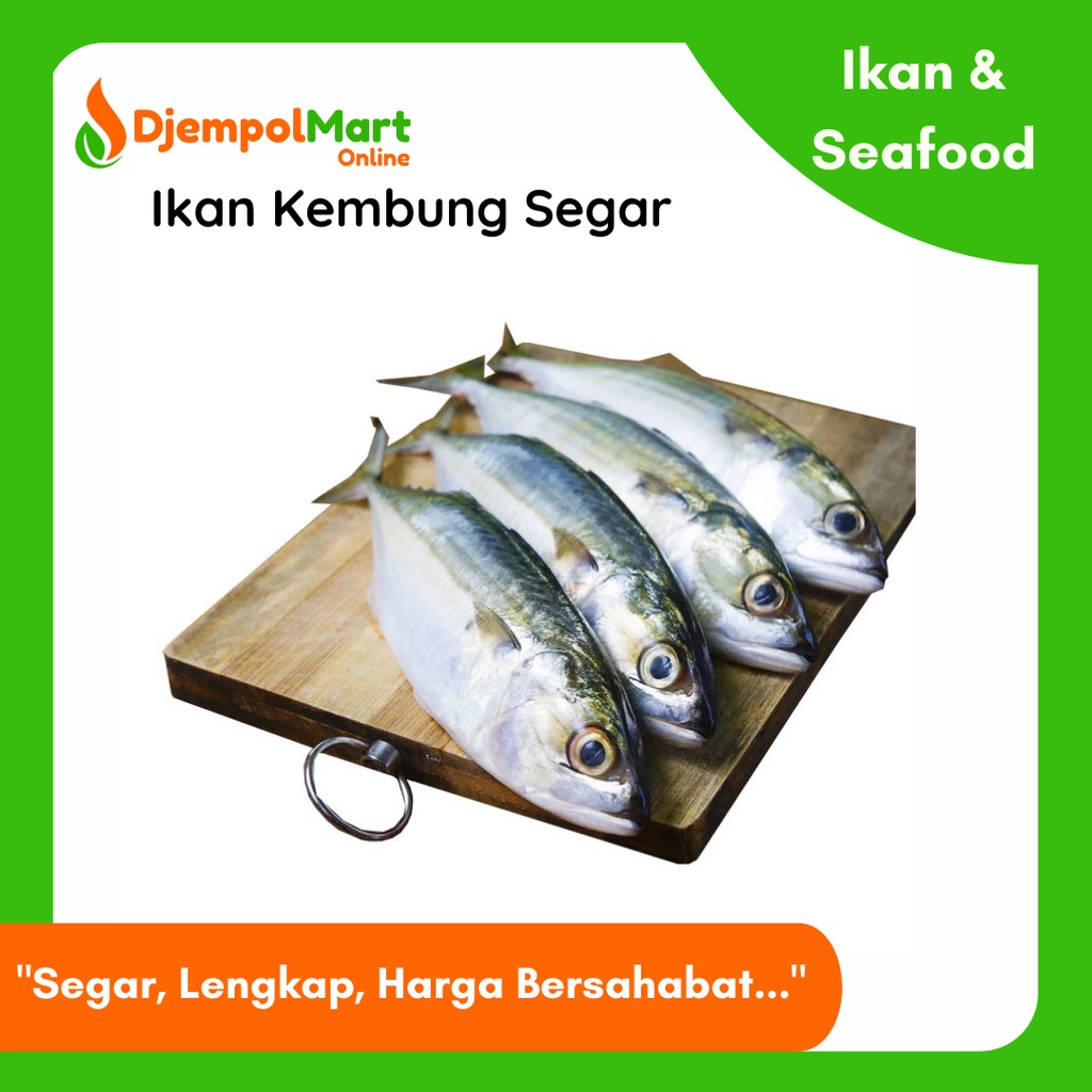 

Ikan Kembung Frozen
