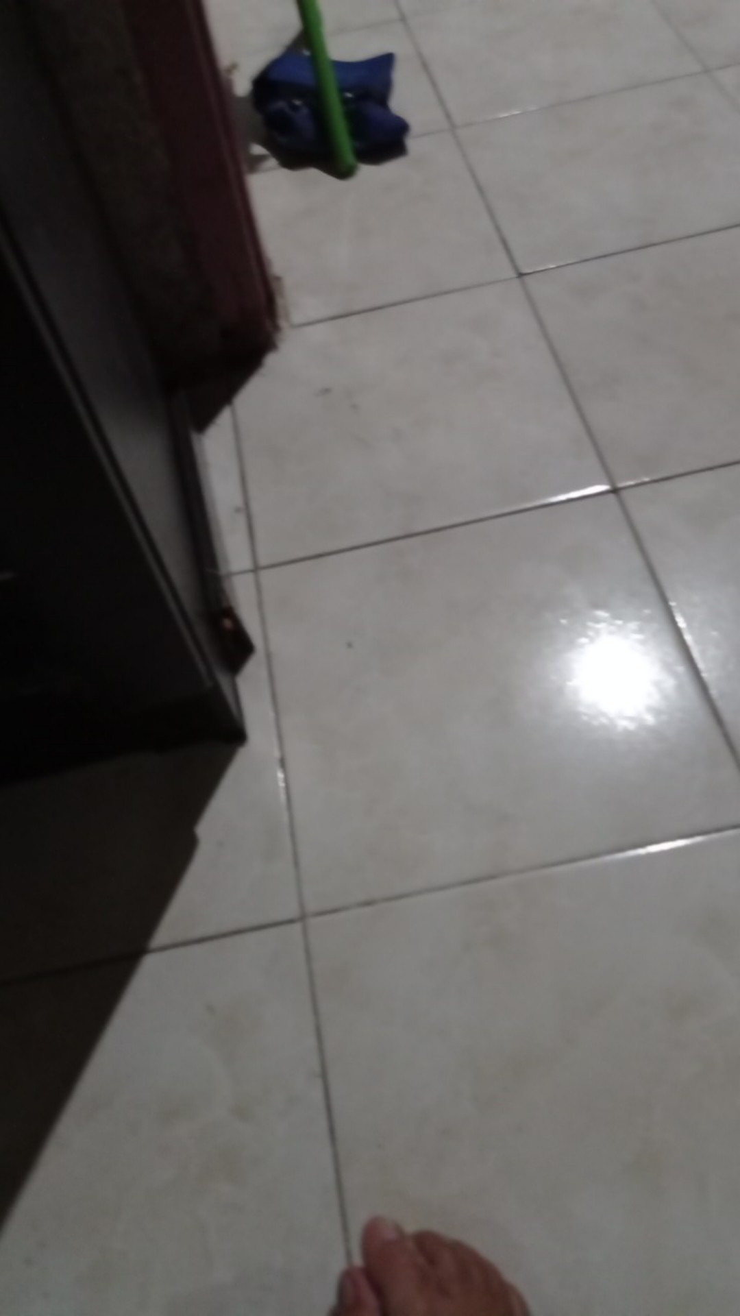 Sikat Lantai/sikat Dorong/sikat Sodok Dragon