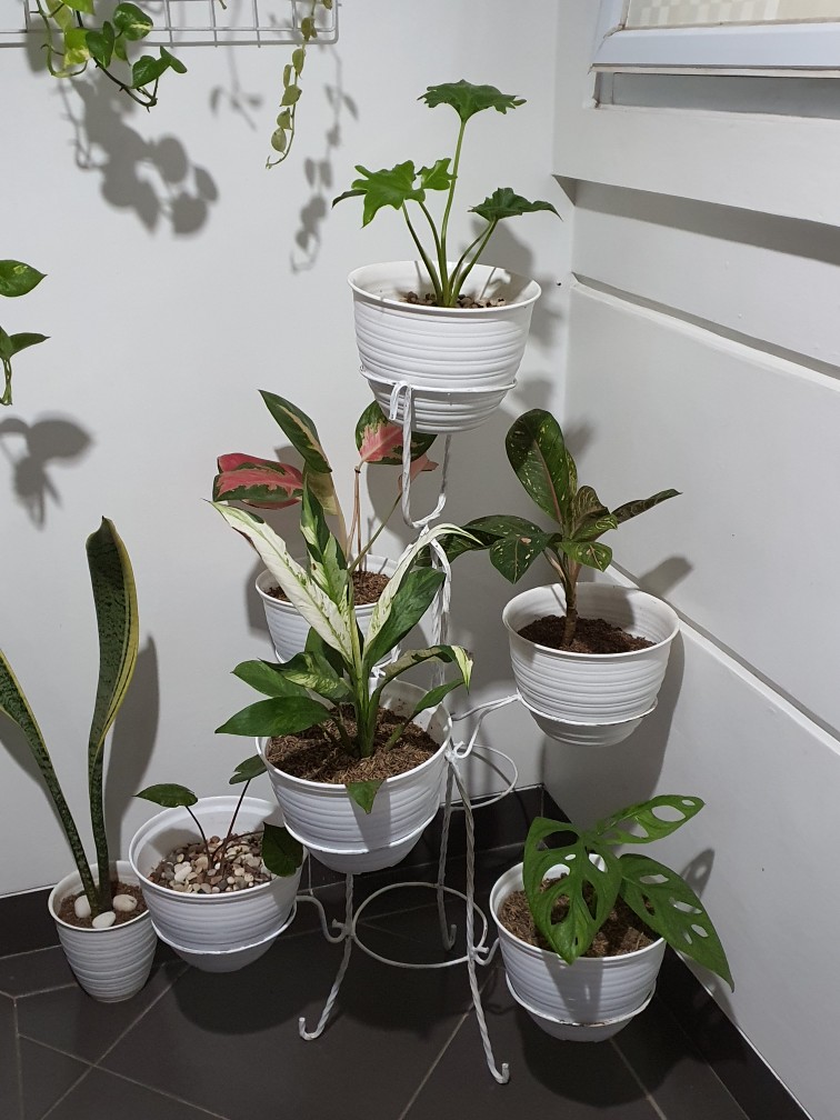 Pot Standing/pot Besi/rak Besi Lobang 7
