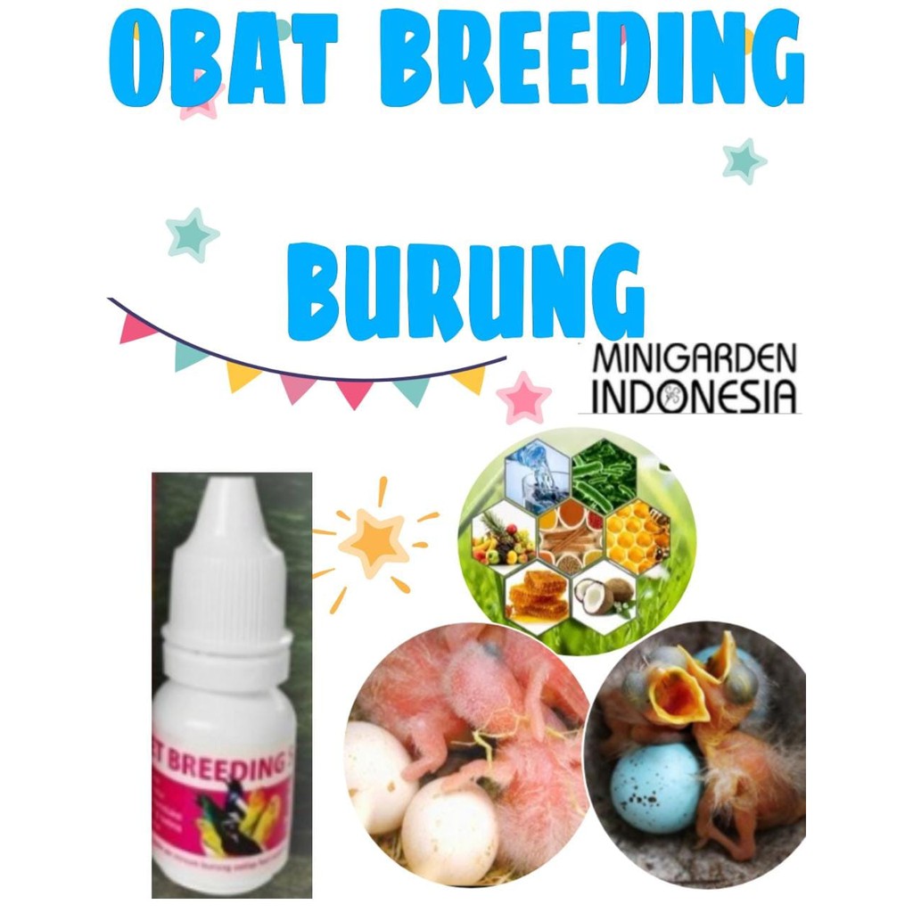 OBAT BREEDING BURUNG atasi macet breeding produksi vitamin hormon burung obat rangsang birahi kawin