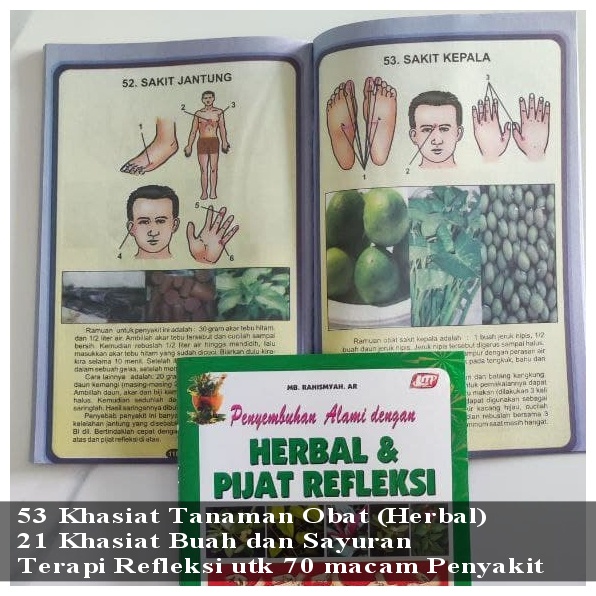 HIDUP SEHAT HERBAL PIJAT REFLEKSI BUKU ALAT PIJAT KAKI 3 PANJANG UMUR Pengobatan Alternatif Tradisional INDONESIA