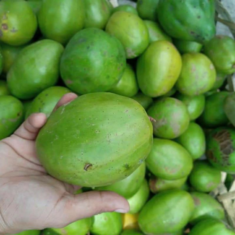 

Buah Kedondong/dondong 1 kg