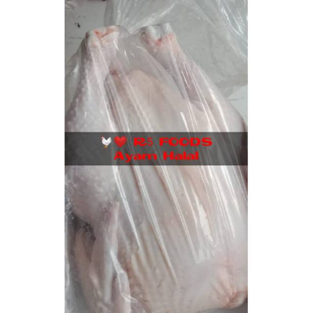 

Ayam Frozen Halal paket lengkap