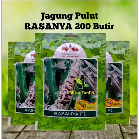 BENIH BIBIT TANAMAN JAGUNG PULUT KETAN PUTIH UNGU RASANYA 200 BUTIR SP / 250 GRAM  CAP PANAH MERAH