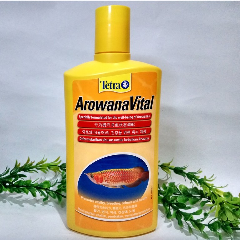 TETRA AROWANA VITAL 500 ml Tetra Arowana Vital Special