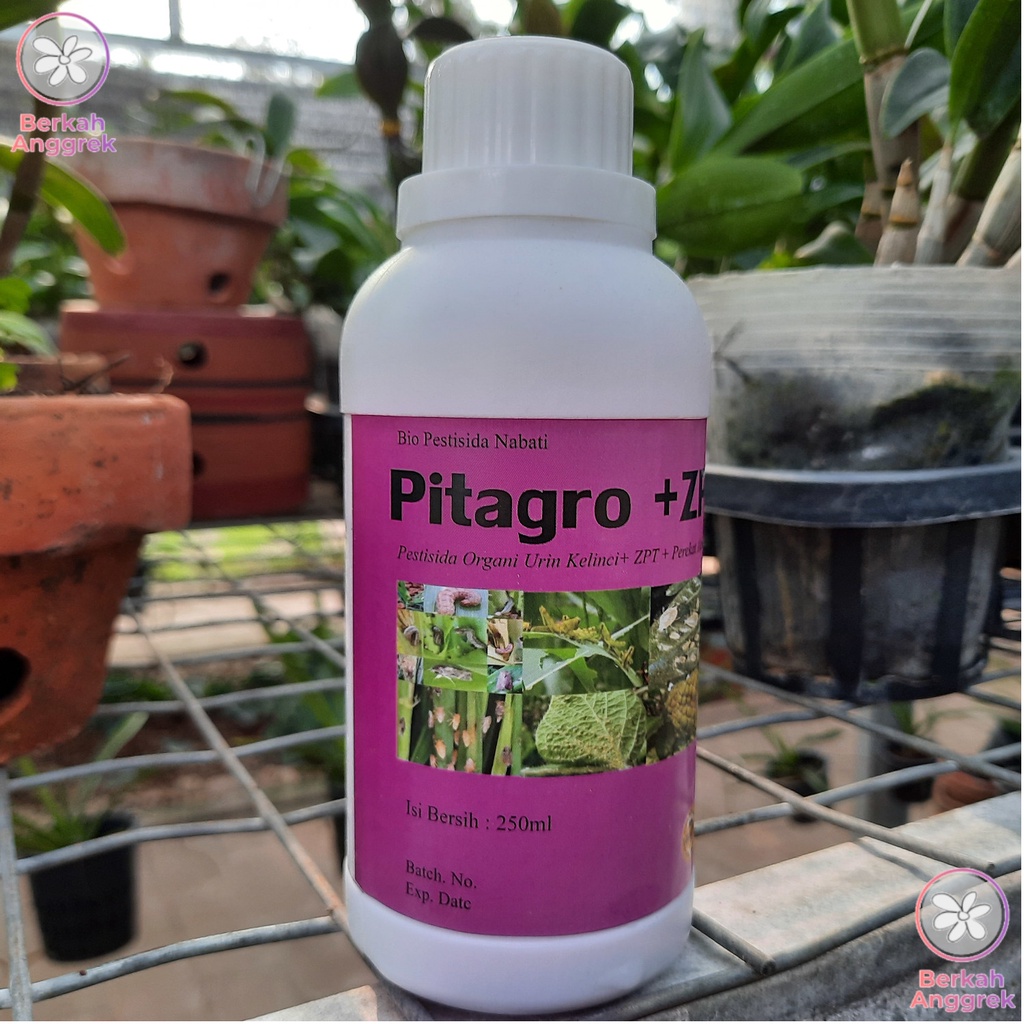 Pitagro 250 ml Insektisida Hayati