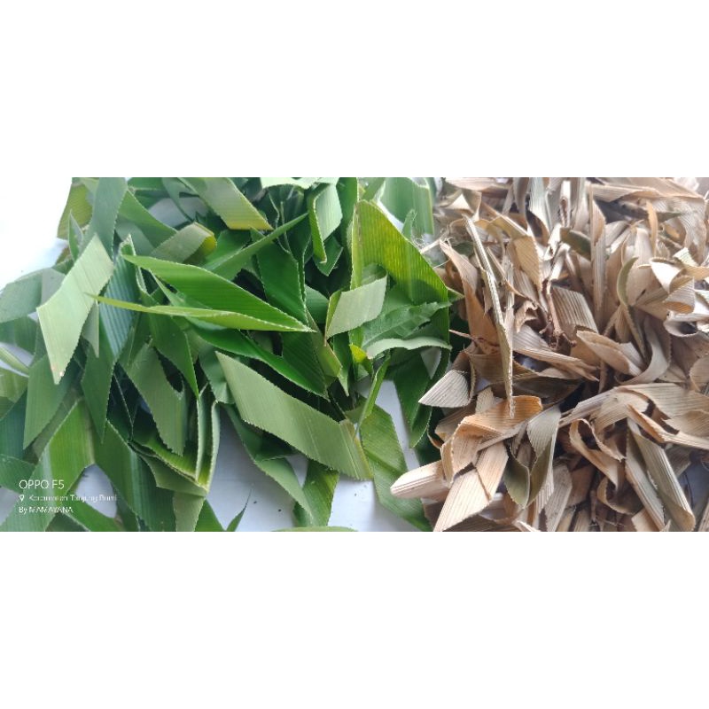 

DAUN PANDAN WANGI SEGAR/KERING, 25 GRAM(TEH DAUN PANDAN ORGANIK)