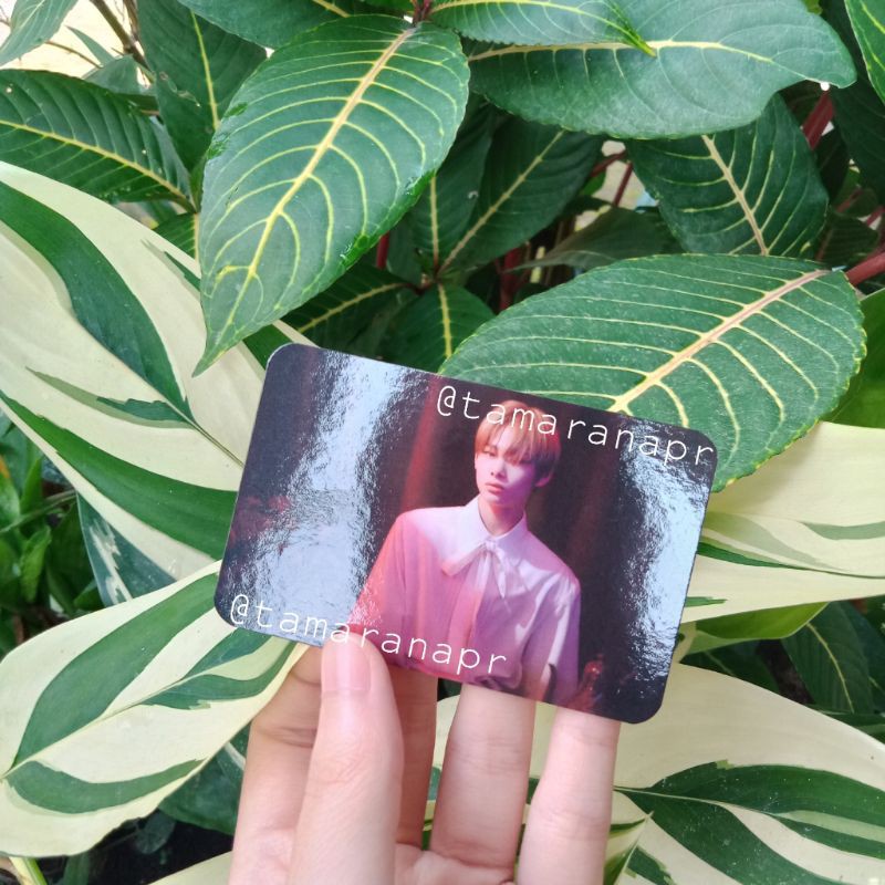 PHOTOCARD PC BENE MECIMA NIKI NI-KI NISHIMURA RIKI ENHYPEN