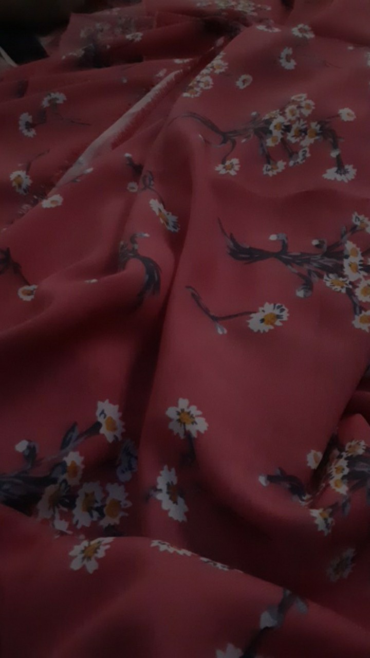 Kainwolfismotifmonalisa0,5 Meter