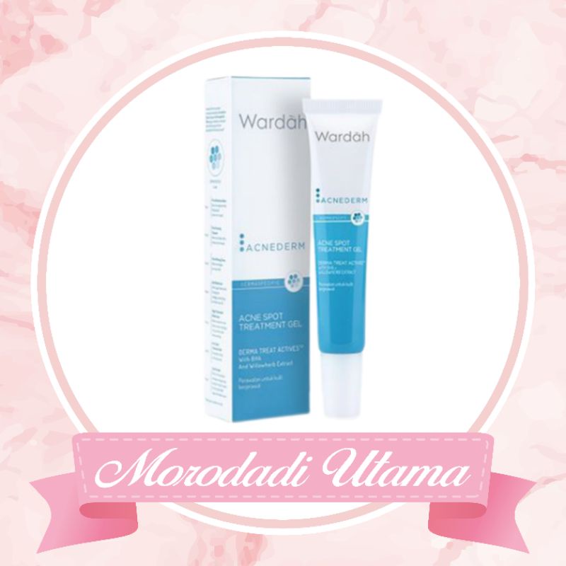 WARDAH ACNEDERM ACNE SPOT TREATMENT GEL 15ml