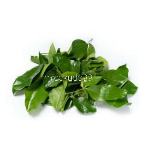 

DAUN SO SEGAR PAKET / DAUN MELINJO BELINJO FRESH GODHONG MELINJO SAYUR BALI DENPASAR