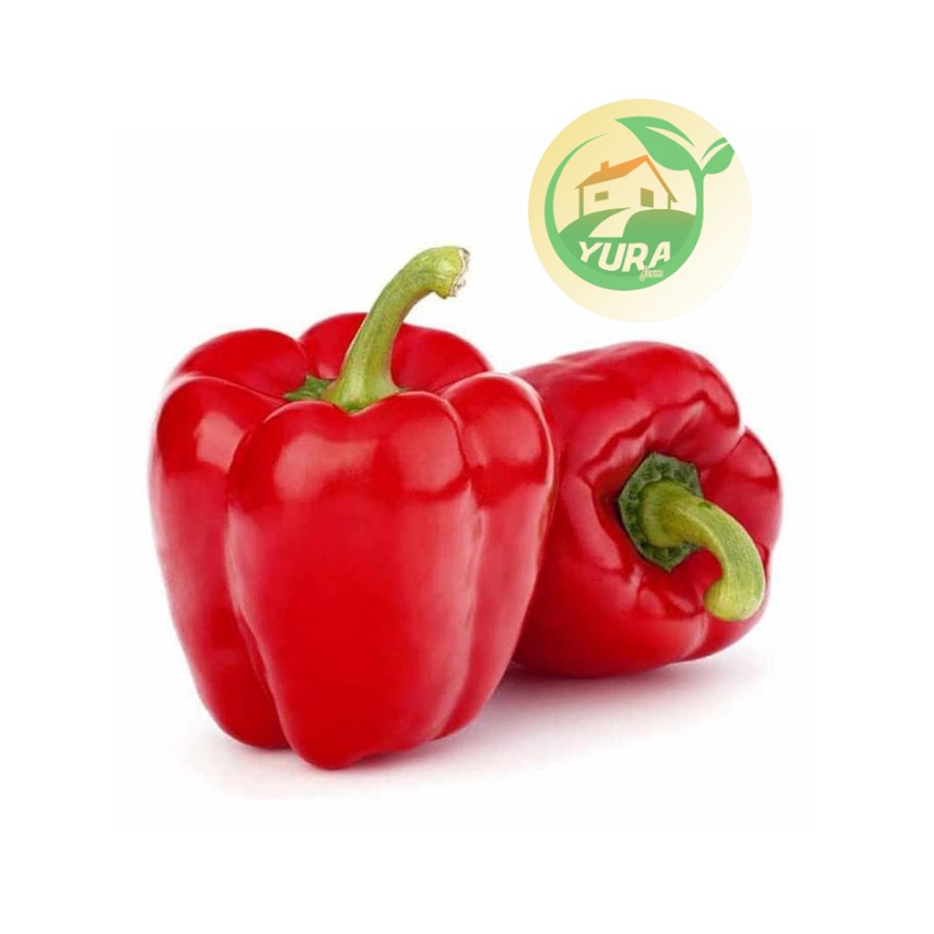 

PAPRIKA MERAH Organik 100% Sayur Segar Organic