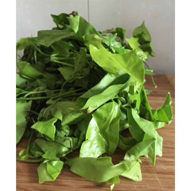 

Daun Melinjo/250gram-500gram-1000gram