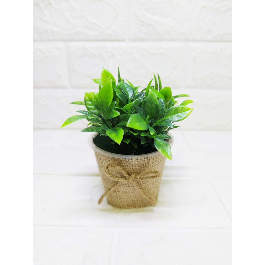 Rumputtiga Hijau Segar Pot Burlap Kecil Pajangan Unik Cantik