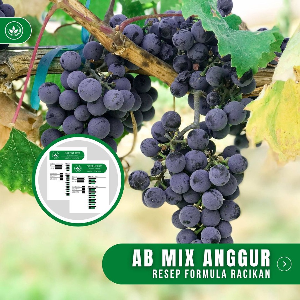 Resep AB Mix Anggur Formula Dual Racikan Nutrisi AB Mix Buah Anggur