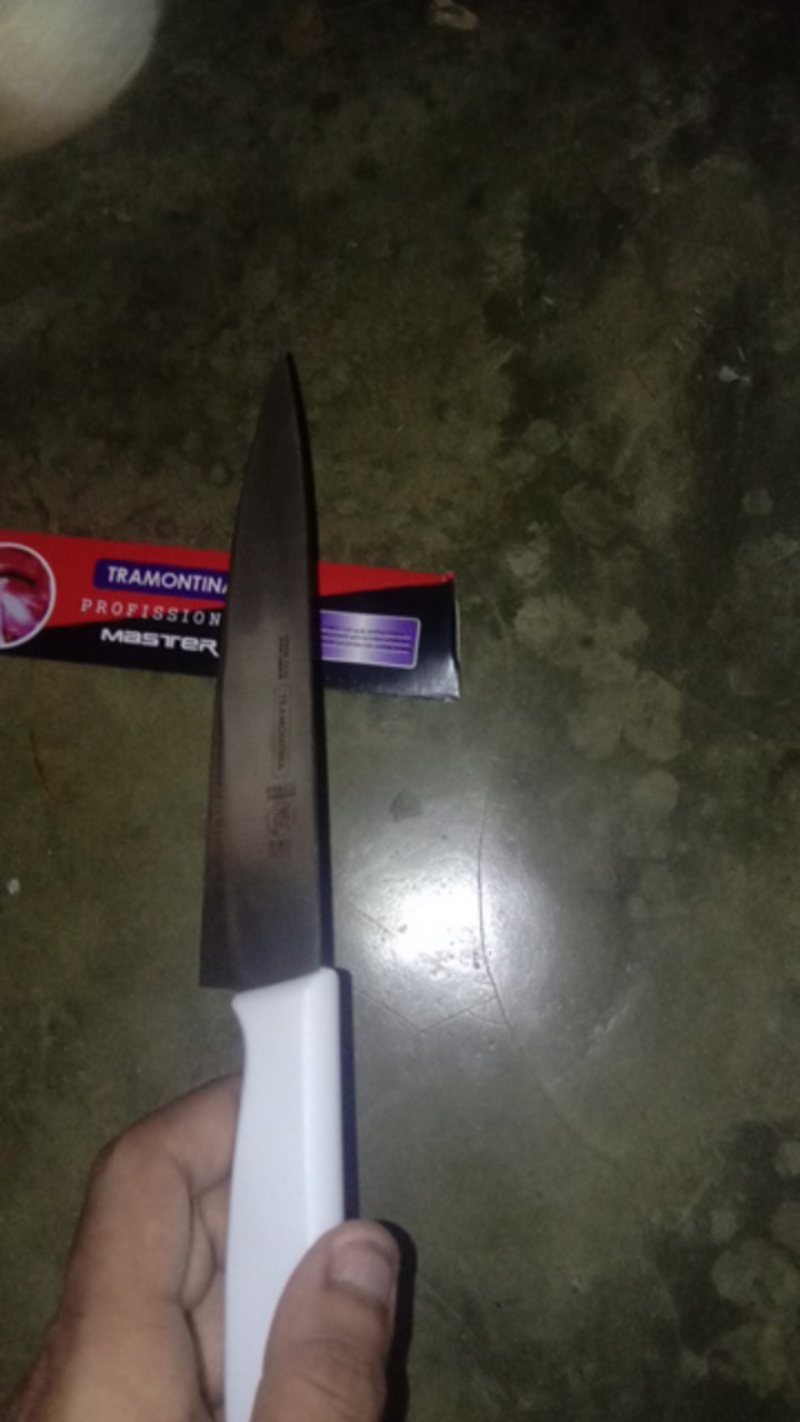 Pisau Dapur Tramontina Pisau Daging Stainless Steel 6 Inch, 8 Inch Dan 10 Inch