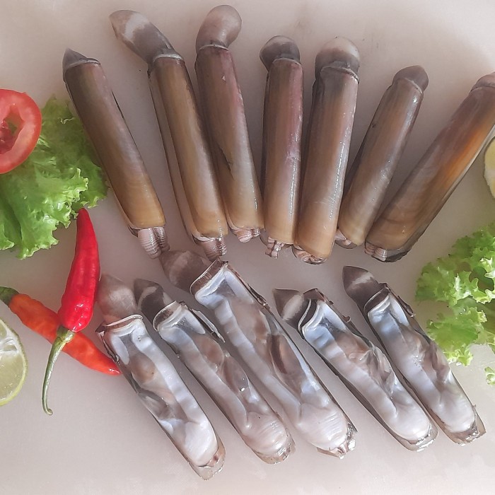 

kerang bambu 1kg