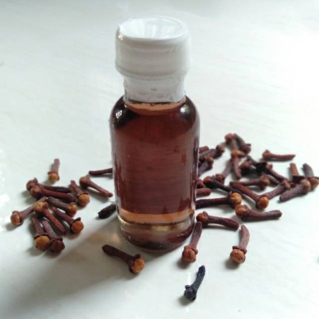 MINYAK CENGKEH ASLI AMBON (MALUKU). 22ml