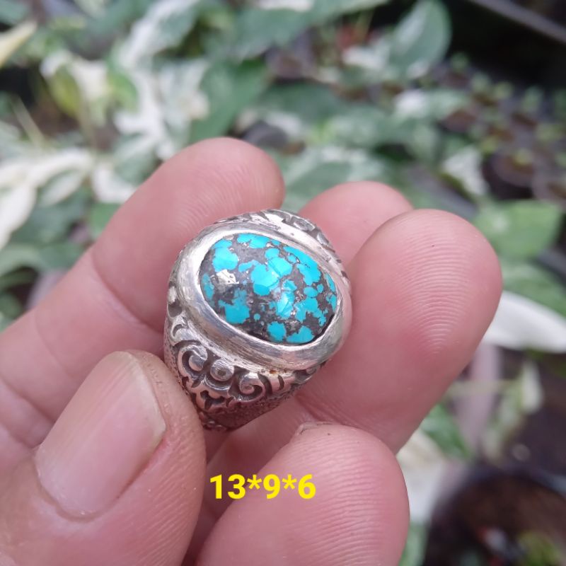 pirus persia ceplok biru vancy mini