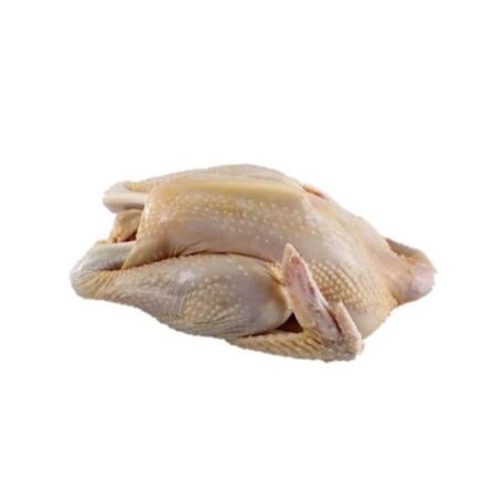 

900gr Ayam Kalasan Segar/ Ayam Pejantan Segar